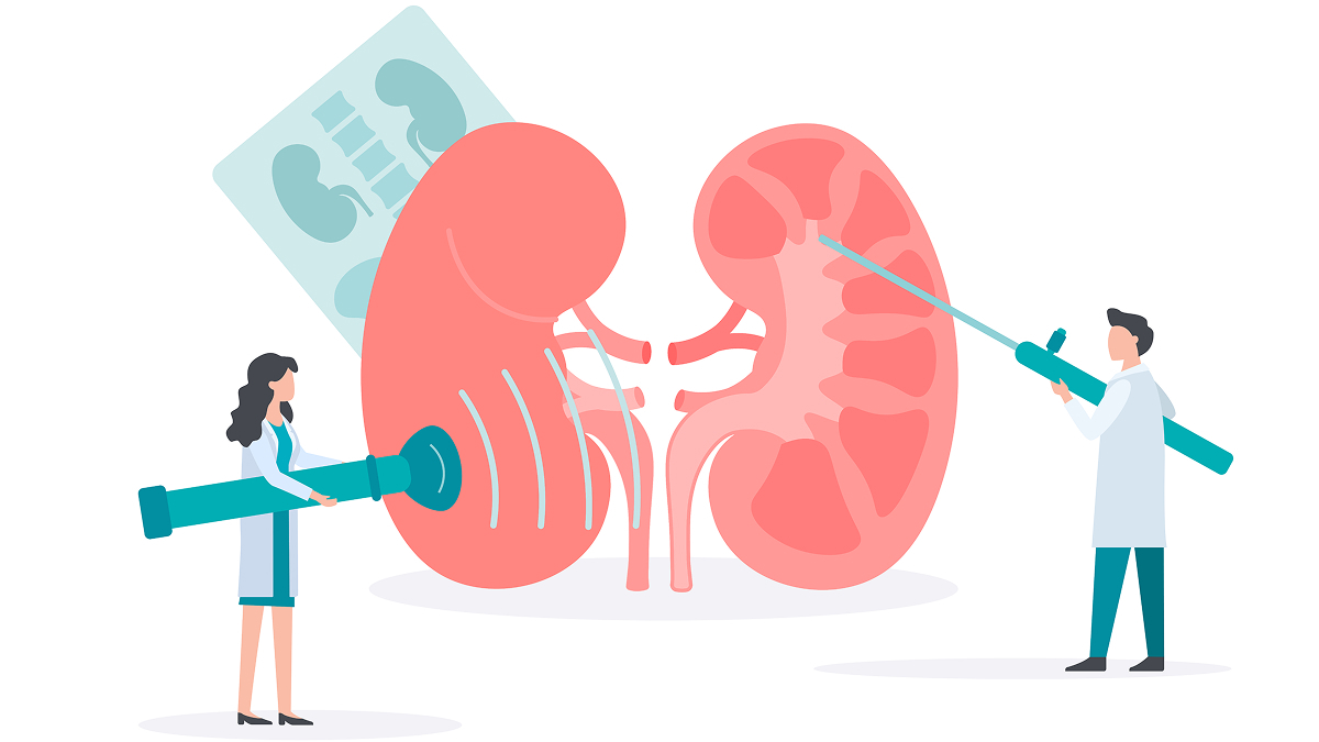 Renal Denervation and Remote Patient Monitoring